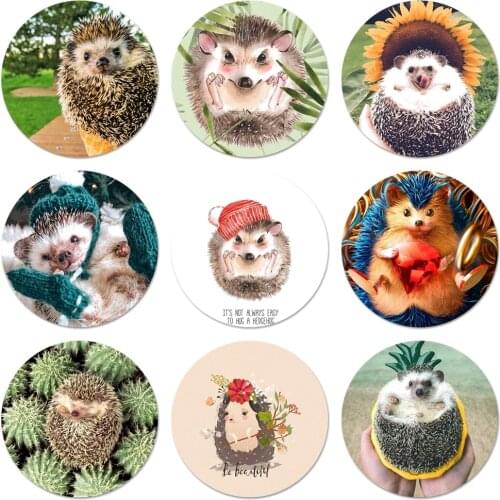 58mm Hedgehog Cute in Teacup Icons Pins Badge Decoration Brooches Metal Badges For Backpack Decoration
