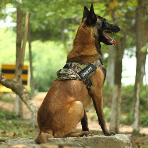 Small-large Dog Harness Tactical Dog Vest German Shepherd Malinois Doberman Dog Leads Dog Leash Dog Accessories Dog Supplies