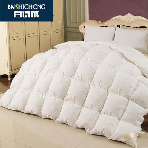 White Goose Down Feather down Quilt Single Double Winter Winter Duvet Insert Thick Warm Quilt for Spring and Autumn