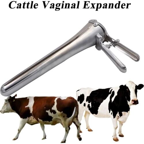 1PCS Bovid Cattle Cow Horse Donky Vaginal Expander Carbon Steel Artificial Insemination Device Uterus Examine Veterinary Tools