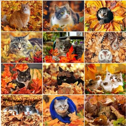 MomoArt Diamond Embroidery Cat Animal Full Square Round Diamond Mosaic Autumn Picture Rhinestones Art Painting Crafts Handicraft