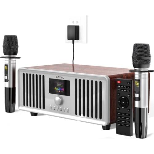 BIG BASS Home Karaoke Machine microphone Speaker of Stylebox P13 P5 P3 C7