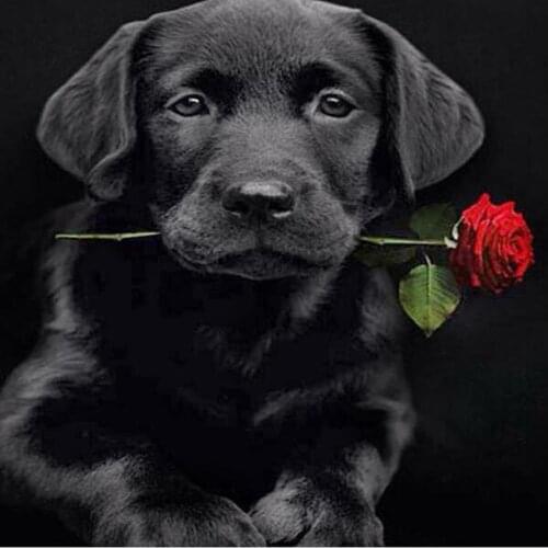 New DIY Diamond Painting Black Dog 5D Diamond Embroidery Pink Rose Labrador Mosaic flower animal sale Crafts Home Decor R1056
