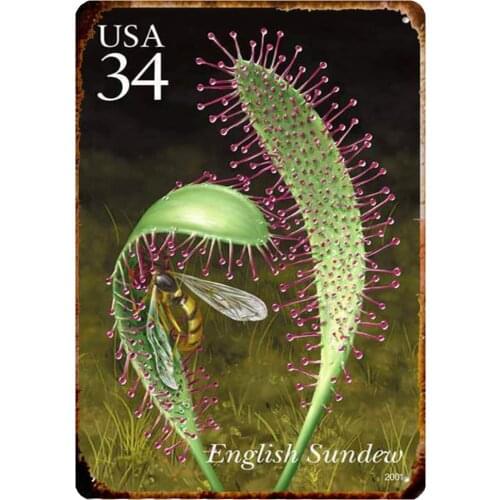 Vintage Retro Metal Tin Sign Us Postage Stamp Carnivorous English Sundew Plant Home Bar Restaurant Club Wall Decor Signs