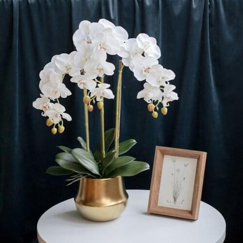 1 Set High Grade Orchids Arrangement Silk Real Touch Phalaenopsis Big Size Luxury Table Flower Home Hotel Decor No Vase