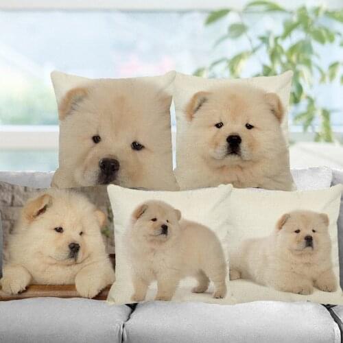 XUNYU Cute Pet White Chow Chow Dog Cushion Cover 45*45cm Square Cushion Covers Home Decor Throw Pillowcases B0052