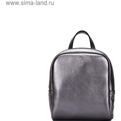 ASKENT Women's Silver Backpacks
