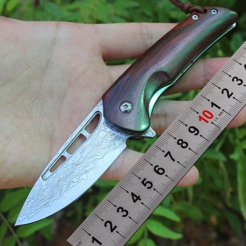 Folding knife Free shipping New style sharp outdoor Damascus steel knife tools Wood handle Exquisite gift knife
