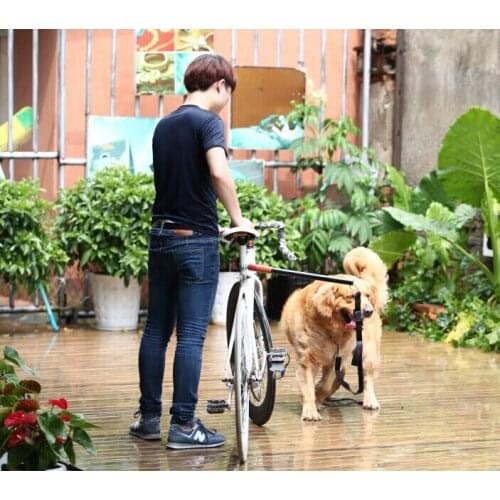 High-quality Fabrics Explosion Bicycle Dog Leash Elastic Telescopic Removable Dog Collars Pull Dog Pet Supplies Wholesale