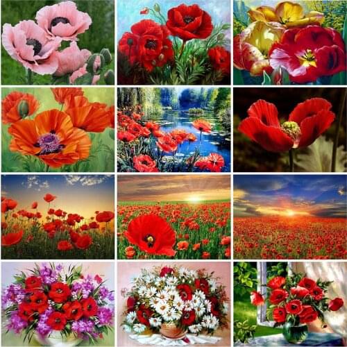 AZQSD Paint By Number Poppy Diy Canvas Painting Kits Home Decor Oil Painting By Numbers Flower Acrylic Paint Handpainted Gift