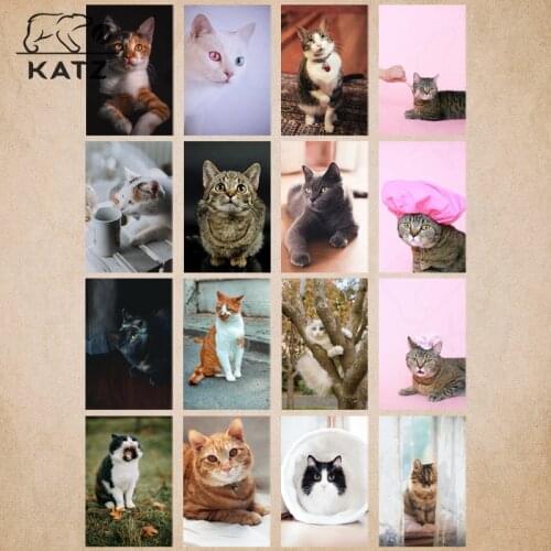 Animal Diamond Painting Cross Stitch Kits Diy Handmade Home Decor Cat with Shower Cap Full Diamond Embroidery Paintings for Room