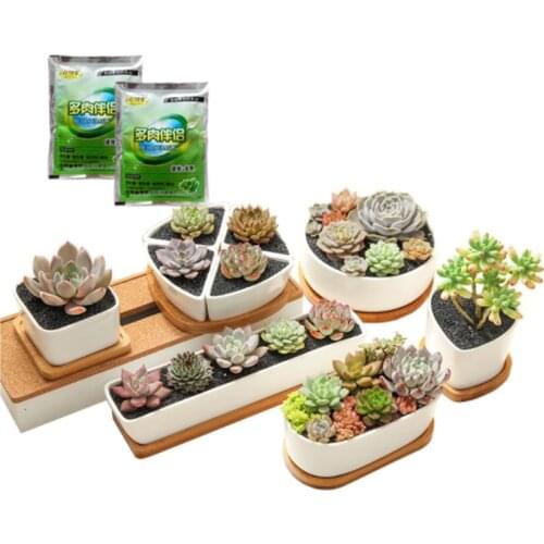 Succulents Bonsai Plant Food Compound Fertilizer Medicinal Hormone Regulators Growing Recovery Aid Garden Sufficient Nutrient