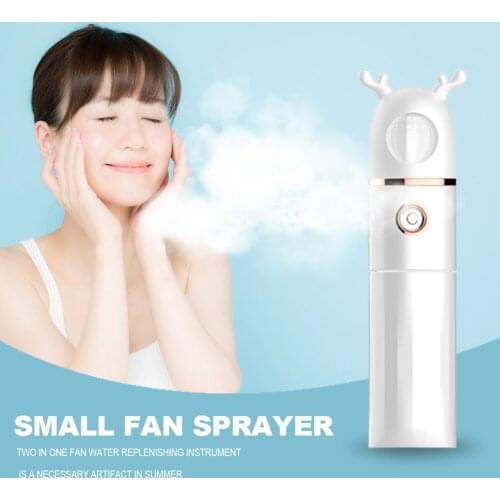 2 in 1 Handheld Fan Water Sprayer Facial Water Replenishment Instrument USB Rechargeable Portable Summer Outdoor Silent Fan