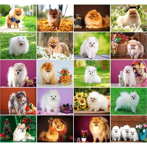 HUACAN DIY Diamond Embroidery 5D Dog Full Square Diamond Painting Animal Home Decoration Mosaic New Arrival Handmade