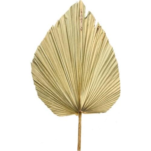 Bohemian Air Dried Typha Leaf Natural Dried Palm Leaves Wedding Arch Neutral House Decoration Art Wall Hanging Decoration