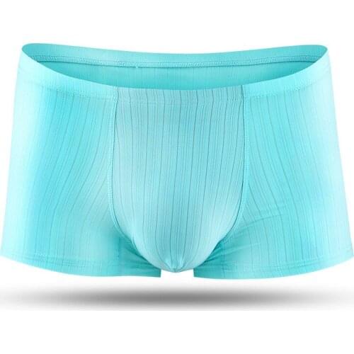 Seamless Mens Boxers Sexy Gay Underwear Cueca Ice Silk Pouch Underpants Male Solid Panties Men Clothing Boxershorts Plus Size