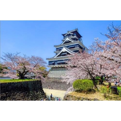 Osaka cherry blossom The wooden puzzle 1000 pieces ersion jigsaw puzzle white card adult childrens educational toys