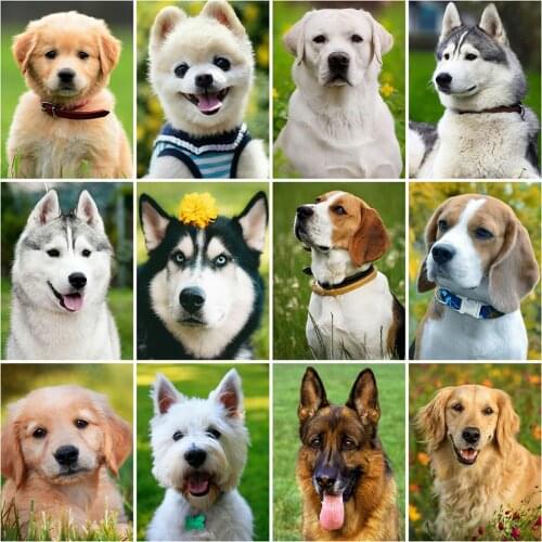 Evershine 5D Diamond Embroidery Animals Diamond Painting Dog Mosaic Crafts Kit Cross Stitch Spring Home Decoration Art
