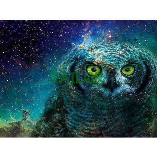 Wall stickers Cross stitch 5D diamond painting kit set Full square haft diamentowy Cuadros animals bird owl Mosaic art colour 4