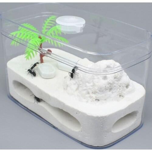 Ant Farm Clear Plastic Box Ant Plaster Home for Kids Study of Ant Behavior Ant Nest Farm Educational Formicarium for Ant