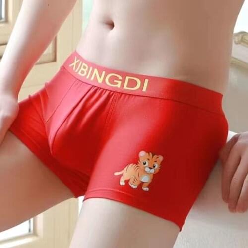 Lubvlook Men's Underwear