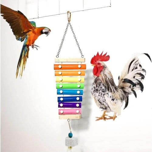Parrot Educational Chicken Xylophone Toy for Hens Suspensible Wooden Chicken Coop Chew Pecking Toy Macaw Training Play