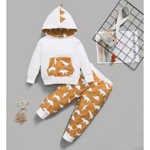 Newborn Baby Girls Boys Clothes Infant Autumn Set Cotton Dinosaur Print Long Sleeve Hoodie Top Pants Spring Outfits Suit