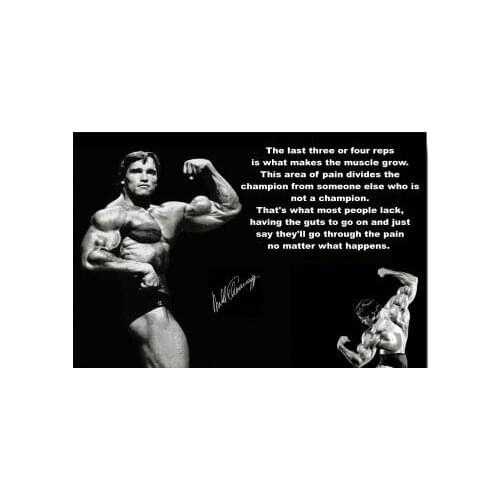 More style Arnold Schwarzenegger Bodybuilding Motivational Art Print Silk Poster Home Wall Decor 24x36inch