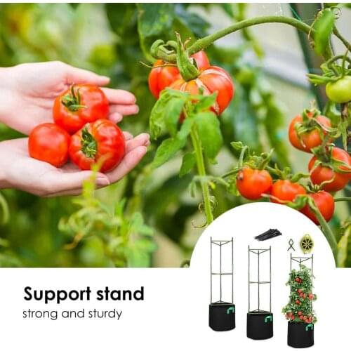 Vegetable Tomato Support Rack Vine Climbing Frame Holder Vertical Climbing Plants Cage Trellis Garden Flower Plant Vine Pillar