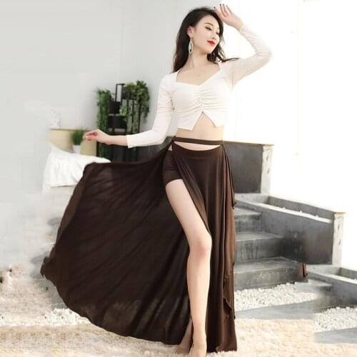 New Belly Dancer Adult Elegant Long Sleeve V-neck Top Practice Split Oriental Dance Top Long Skirt Costume