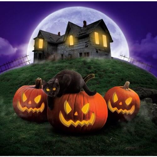 Halloween Eve Night Background For Photography Pumpkin Cat Dark Castle Full Moon Night Kids Child Shoot Photo Backdrop Photocall