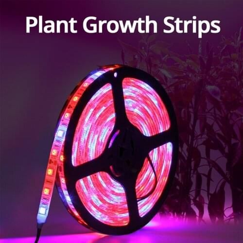 Green Plant Growth Strip Light Red Blue Grow Growbox Seeds Greenhouse Succulent DC12V 5050 LED Waterproof Flexible Tape Plantas