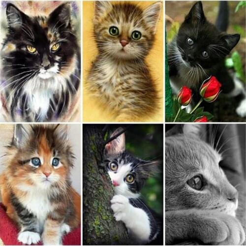 DIY 5D Diamond Painting Animal Full Square Drill Cat Diamond Embroidery Cross Stitch Rhinestone Mosaic Gift Wall Art Home Decor