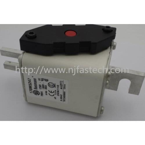 New original 170M5246 630A 1250V 170M5247 700A 1250V 170M5248 800A 1250V 170M6238 315A 1250V aR fuse ceramic thermal fuse