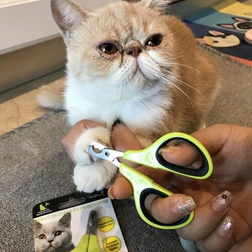 Portable Pet Dog Cat Arc Shape Nail Clippers Cats Stainless Steel Nail Scissors Scissors Cleaning Pet Supplies