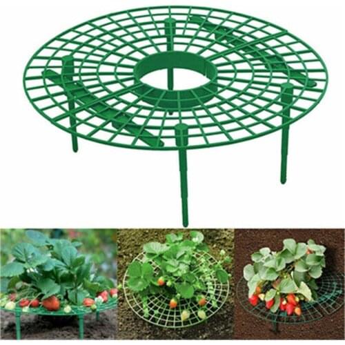 5/10/20 PCS Plant Support Strawberry Stand Frame Holder Balcony Planting Rack Fruit Support Plant Flower Climbing Vine Pillar