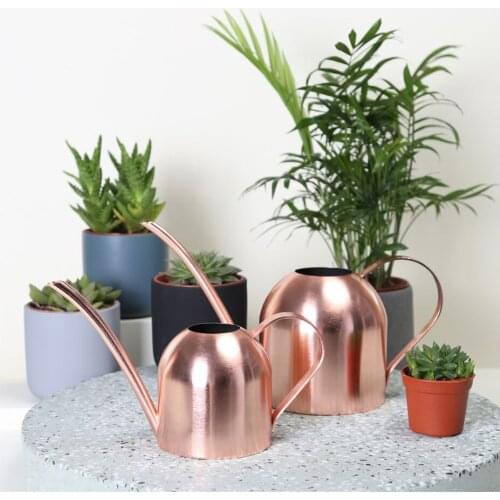 Long Mouth Water Can Stainless Steel Watering Pot Garden Flower Plants Watering Cans 500ML/1000ML