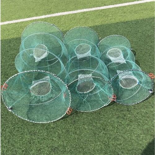 Clarias Focus Cyprinus Carpio Mosquitofish Lates Niloticus Micropterus Salmoides Steelhead Trap Catcher Attack Fish Cage