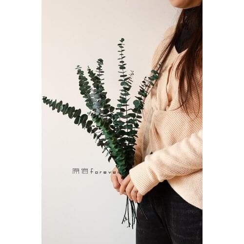 Eternal Life Real Flower Amine Leaves Dried Flowers Eucalyptus Leaves Northern European-Style Light Luxury Home