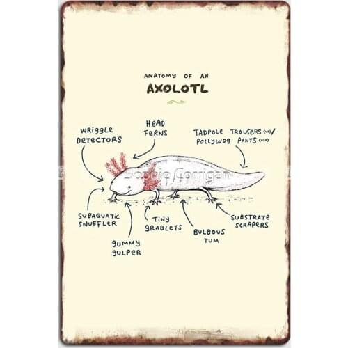Anatomy Of An Axolotl Poster Metal Plaque Wall Decor Wall Pub Classic Wall Tin Sign Poster