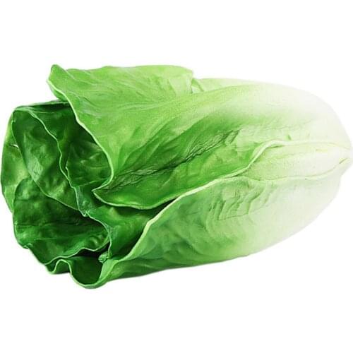 Simulation Vegetable Lettuce Model Display Photography Props Window Display Hotel Home Decoration
