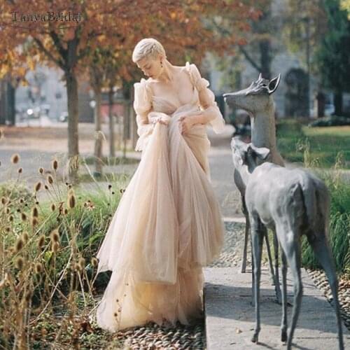 Champagne Tulle Dreamy Wedding Dresses Long Sleeve Vintage Exquisite Bridal Gowns Deep V-Neck Sexy Backless Noivas China DW100