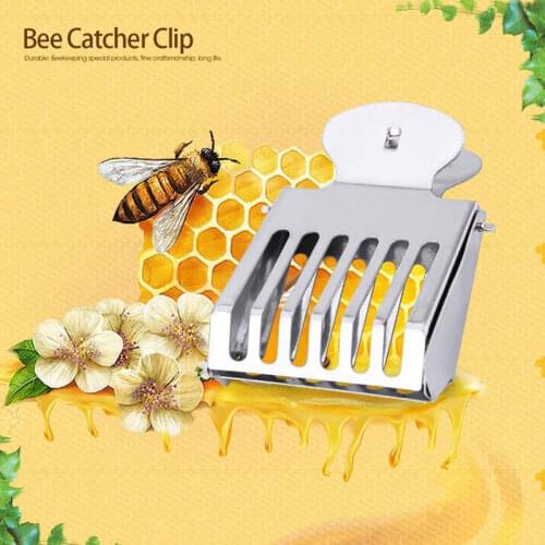 10PCS/Bag Stainless Steel Clip Queen Bee Cage Catcher for Queen Rearing