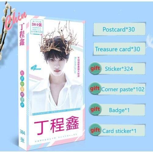 Teens in Times TNT Ding Chengxin Postcard Present Stickers Badge Shi Dai Shao Nian Tuan Star Around Fans Collection Gift