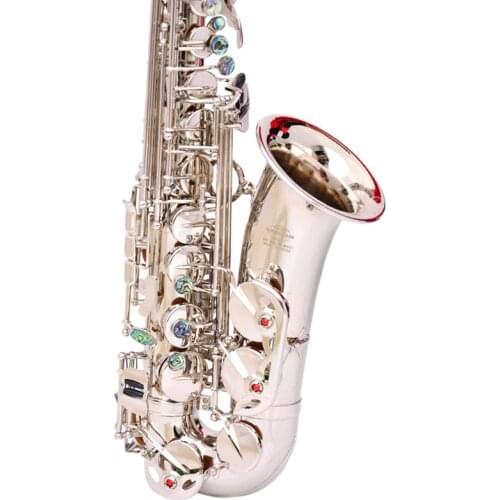 Alto Instrument Accessories Professional Eb China Sax Saxophone Alto