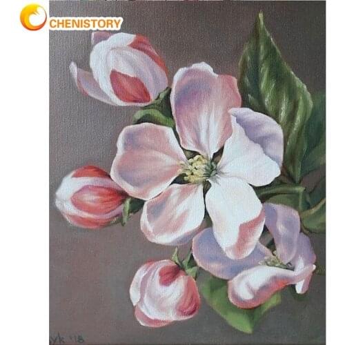 CHENISTORY Picture By Numbers For Adults Pink White Flower Painting Handmade 40x50cm Framed Home Living Room Wall Decoration