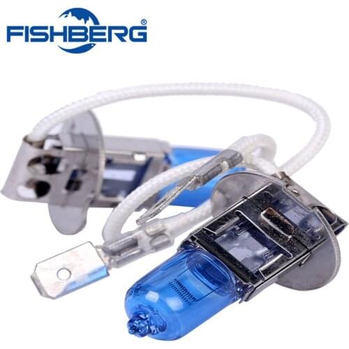 FISHBERG LED H3 Bulbs (PK22s)