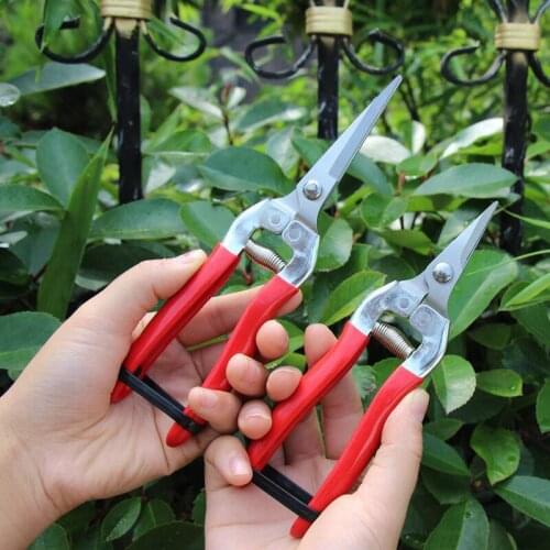 Steel Anvil Pruning Shears Garden Grass Cutter Fruit picking scissors Gardening Branch Pruners Secateur Garden bonsai Tools