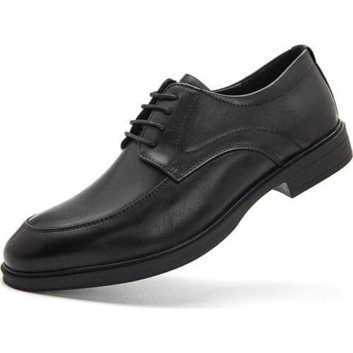 AlexBu Men's Classic Shoes