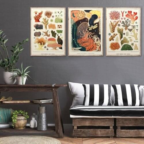 Marine Creatures Vintage Poster Corals Reef Illustrations Sea Anemones Diagram Print Wall Art Canvas Painting Antique Picture